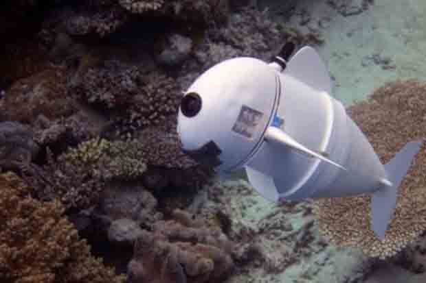 Robot Ikan Generasi...