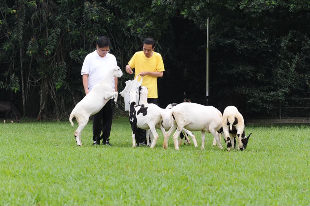Golkar Serius Ingin...