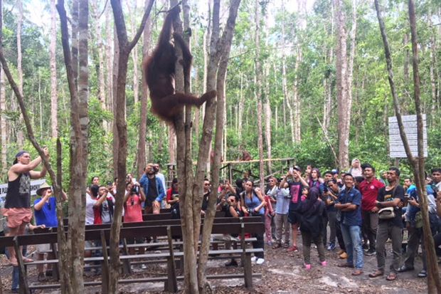 Banyak Wisata Menarik,...