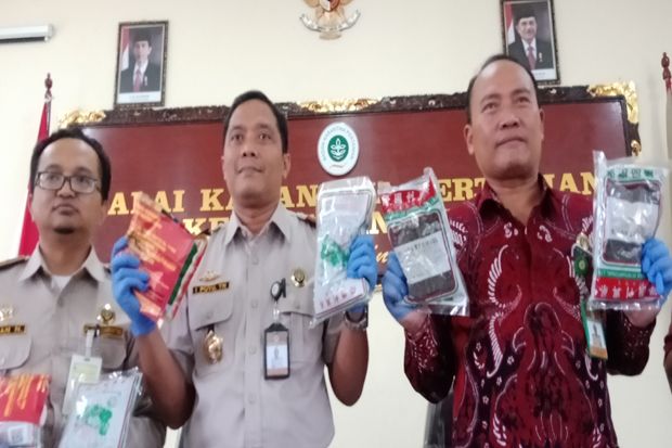 Puluhan Kg Bibit Sayur...