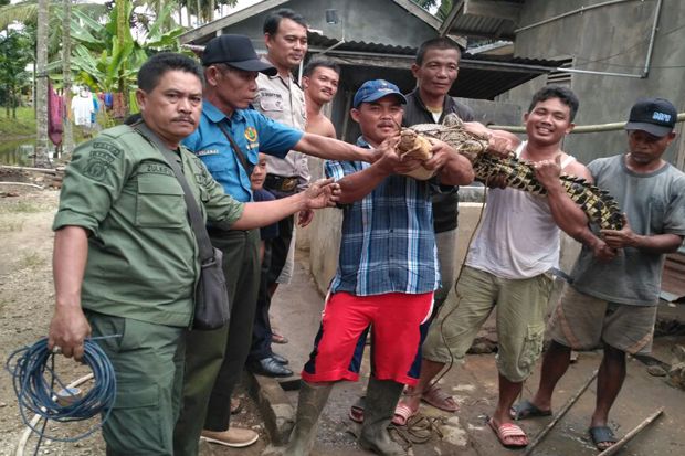 BBKSDA Riau Evakuasi...