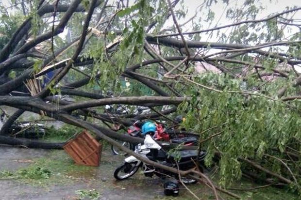 Blitar Diterjang Puting...