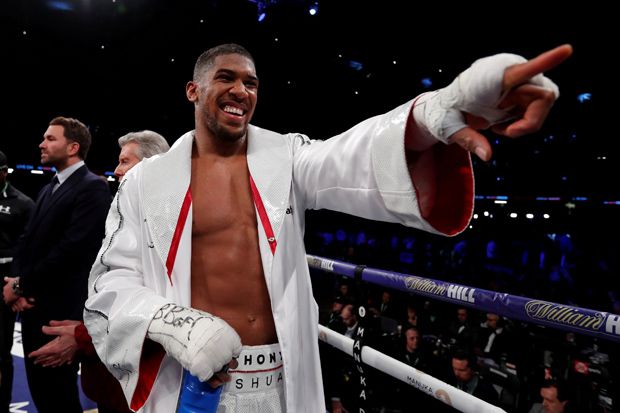 Ingin Duel vs Wilder...