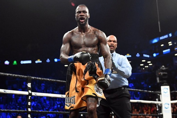 Wilder Tidak Sabar untuk...