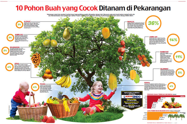 10 Jenis Pohon Buah...