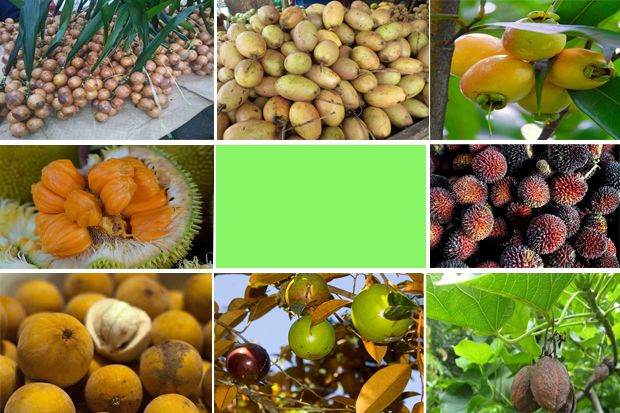 Buah Asli Indonesia...