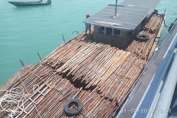 Bawa Kayu Bakau ke Singapura,...