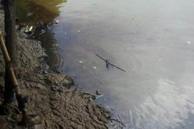 Atasi Laut Tercemar,...