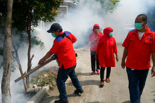 Cegah Demam Berdarah,...