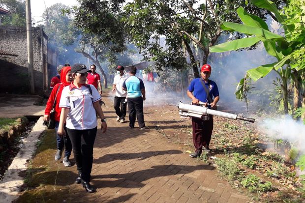 Banyak Jentik Nyamuk,...