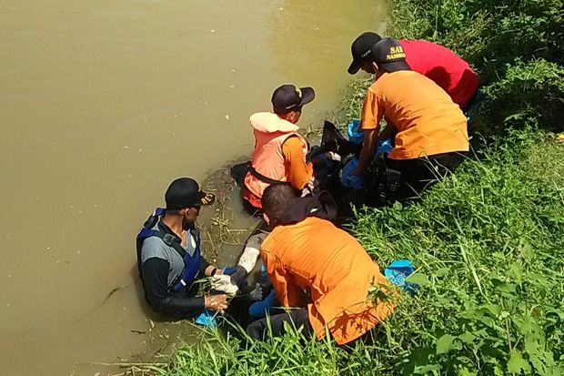 Petani yang Tenggelam...