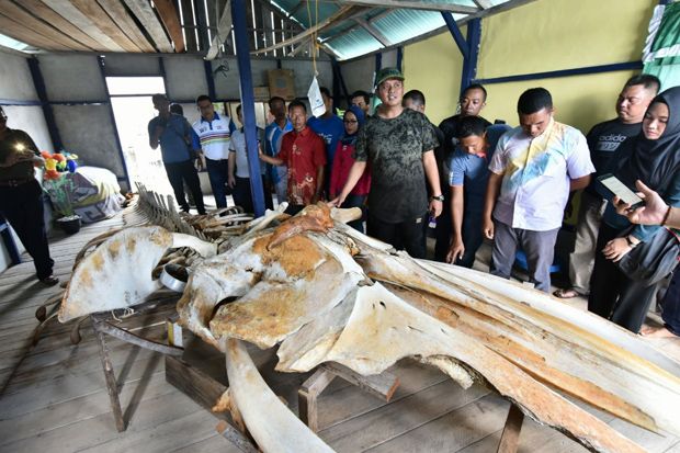 Penemu Kerangka Ikan...