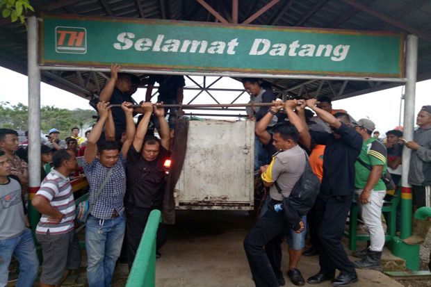 Kementerian LHK: Harimau...