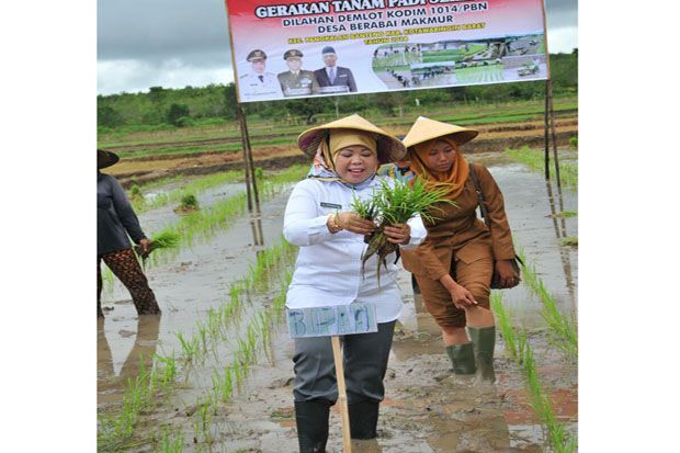 Bupati Kobar dan TNI...