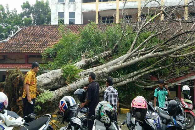 Baru Direnovasi, Atap...