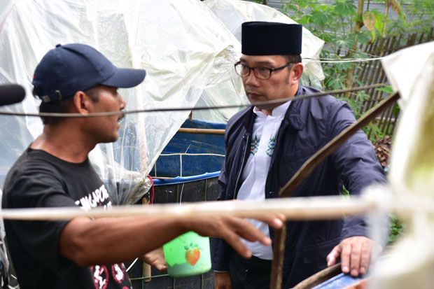 Punya 3 Potensi Unggulan,...