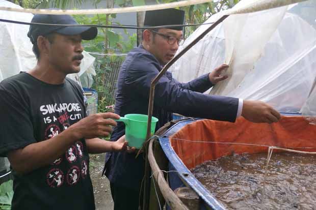 Ridwan Kamil: Konsep...