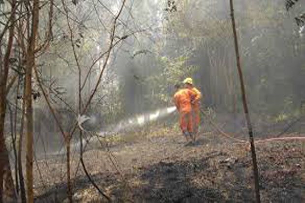 Jaga Kebakaran Hutan,...