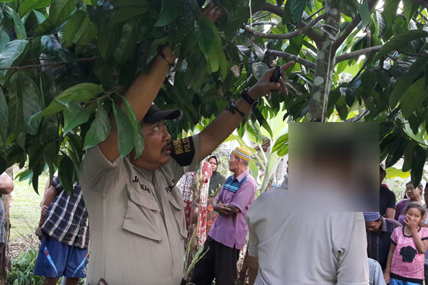 Hendak ke Kebun, Petani...