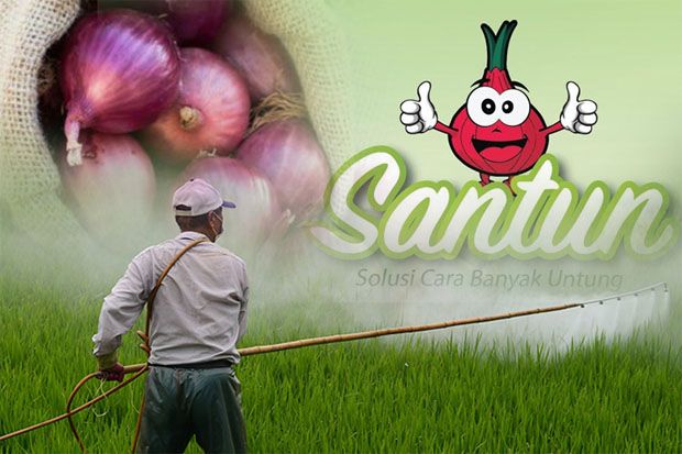 Pacu Produksi Bawang,...