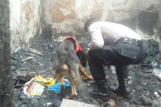 Ini Cerita K9 Roxana...