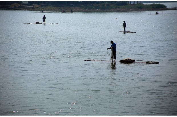Menjaring Ikan Tiruan