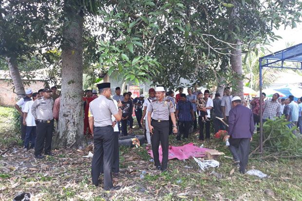 Meriam Istana Raja di...