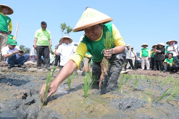 Bantu Persoalan Petani,...