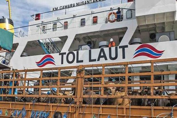 Dua Kapal Ternak Pelni...