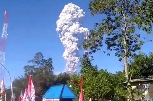 Panik, Takut dan Tak...