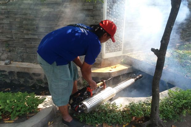 Banyak Nyamuk, Perindo...