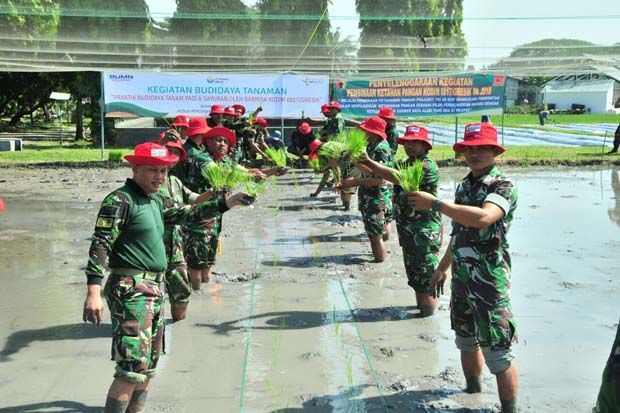Perkuat Ketahanan Pangan,...