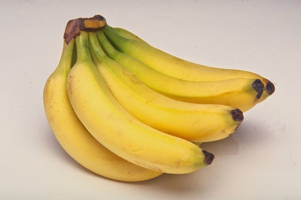 Daftar Varietas Pisang...