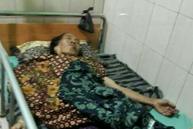 Sedang Tanam Kayu Manis,...