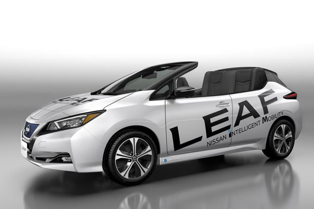 Nissan Pamer Leaf Tanpa...