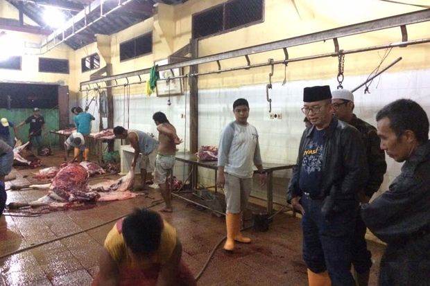 Dinas Peternakan dan...