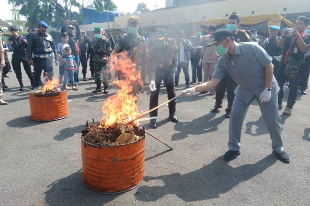 32,5 Kg Ganja Dibakar...