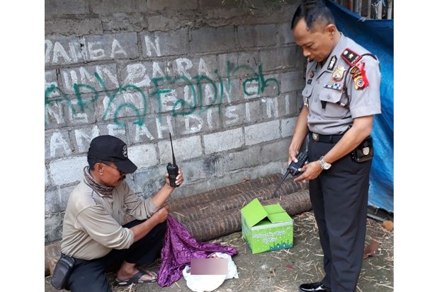 Mayat Bayi Kembar Ditemukan...
