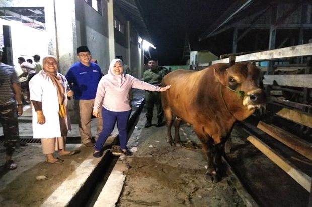 Bupati Pastikan Stok...