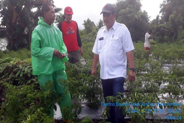 Budidaya Hortikultura...