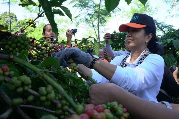 Sambangi Jember, Menteri...