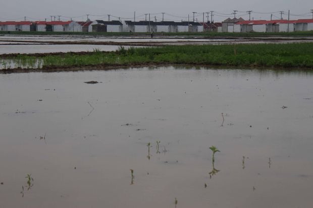 Marak Alih Fungsi, Bekasi...