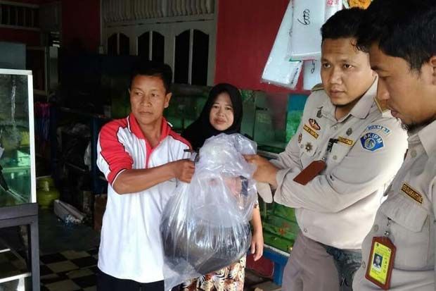 Awas! Pelihara Jenis...