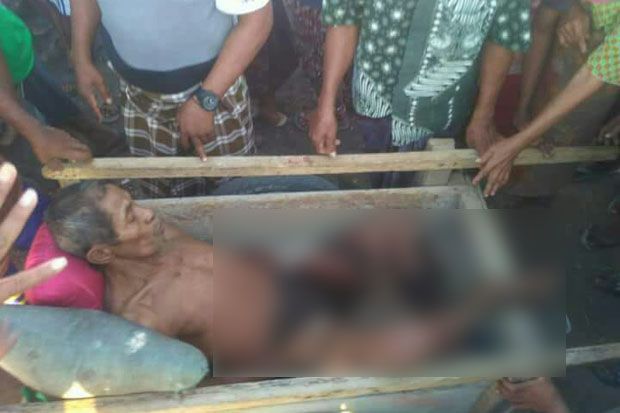 Bertarung Lawan Komodo,...
