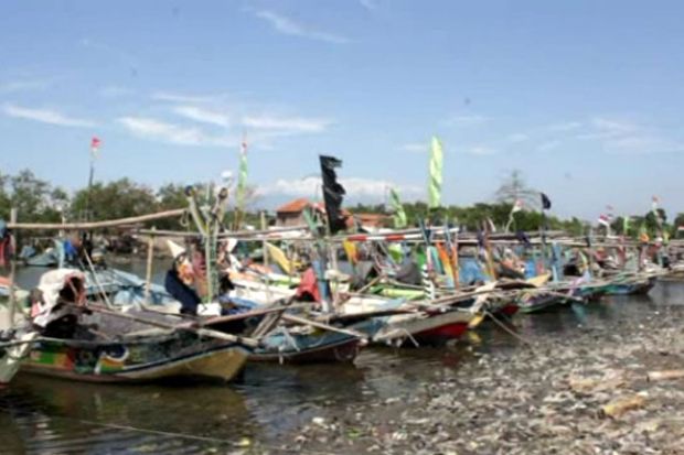 Gelombang Laut Tinggi,...