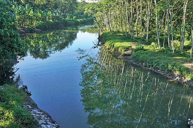 Pencemaran Sungai di...