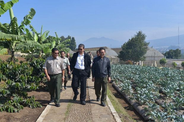 Kementan Bertekad Lahirkan...