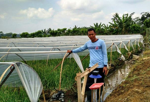 Adopsi Sungkup Plastik,...