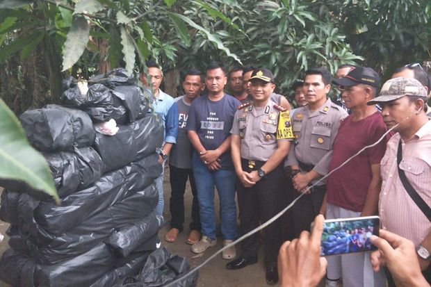 Edarkan 250 Kg Ganja,...