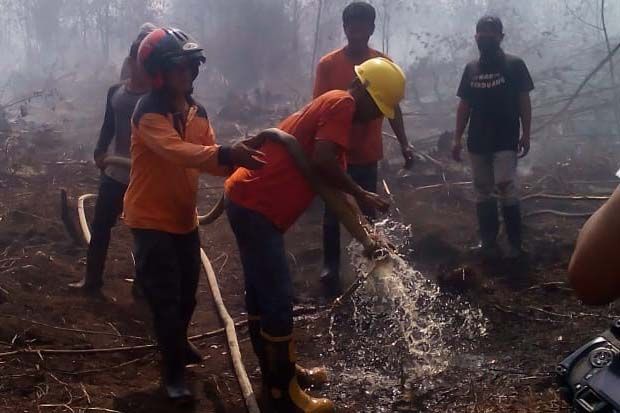 Dumai Membara, 15 Hektare...